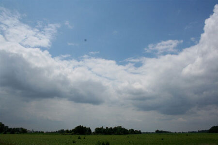 Superweeds, Superbugs, and Superbusiness Image